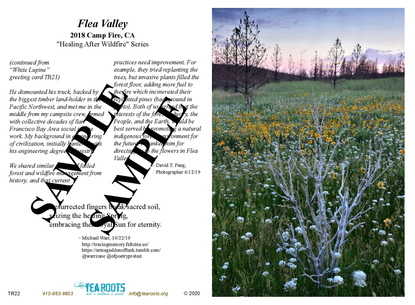 “Flea Valley” Photo/Poetry Greeting Card
