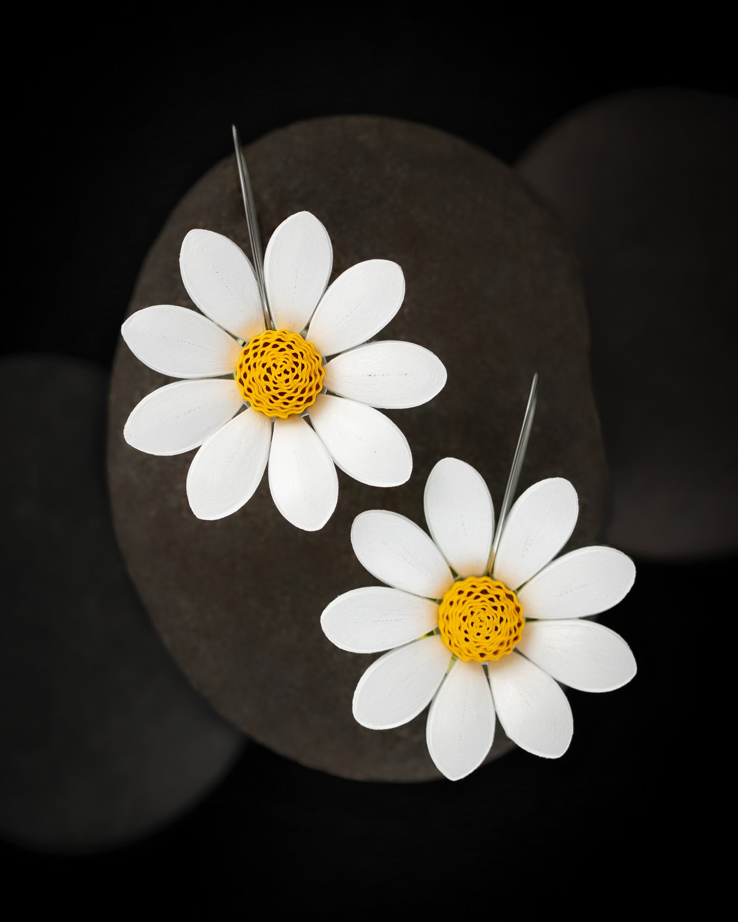 Maatru - Daisies