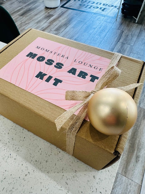 Moss Art Kits