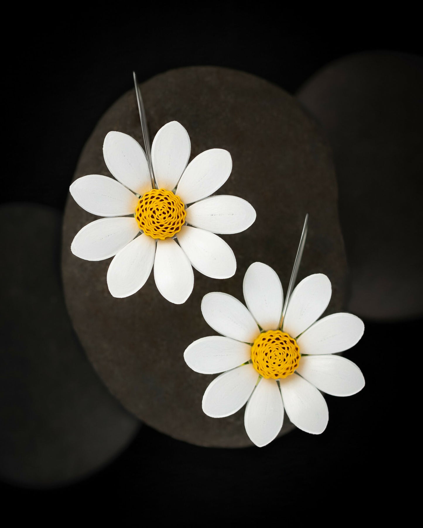 Maatru - Daisies