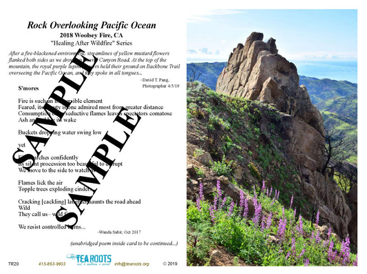 “Rock Overlooking Pacific Ocean” Photo/Poetry Greeting Card