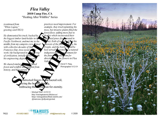 “Flea Valley” Photo/Poetry Greeting Card