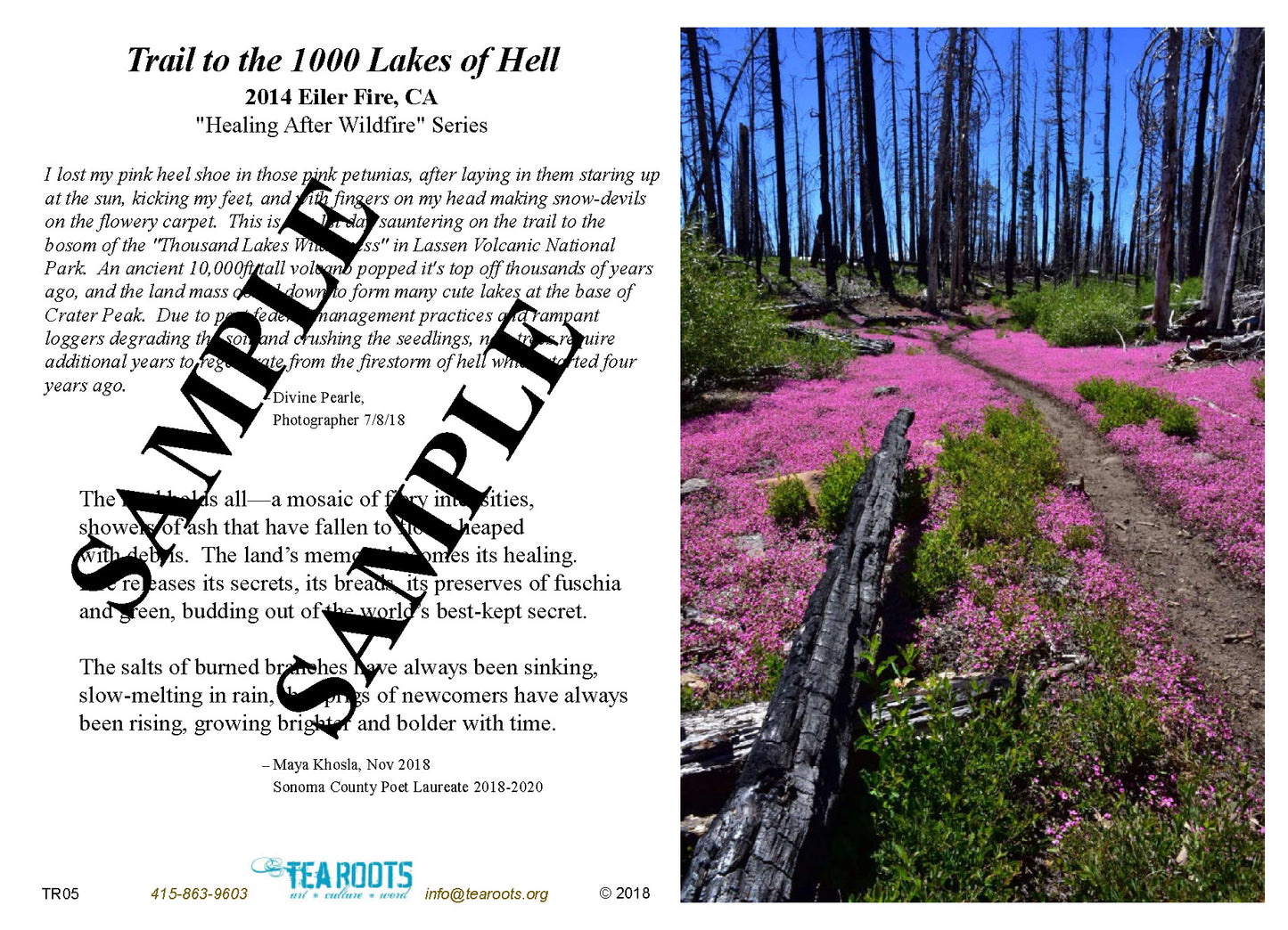 "Trail to the 1000 Lakes of Hell" Photo/Poetry Greeting Card
