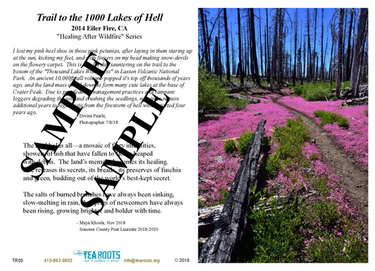 "Trail to the 1000 Lakes of Hell" Photo/Poetry Greeting Card