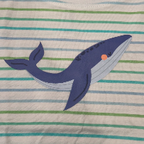 Infant Toddler Shirts